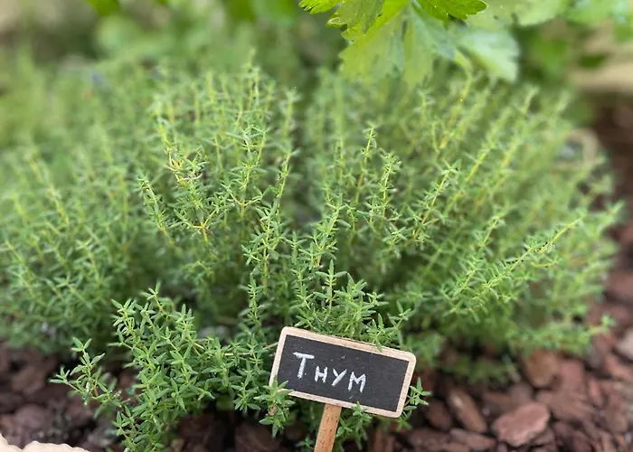 Daire L'oustal Amans Rodat *