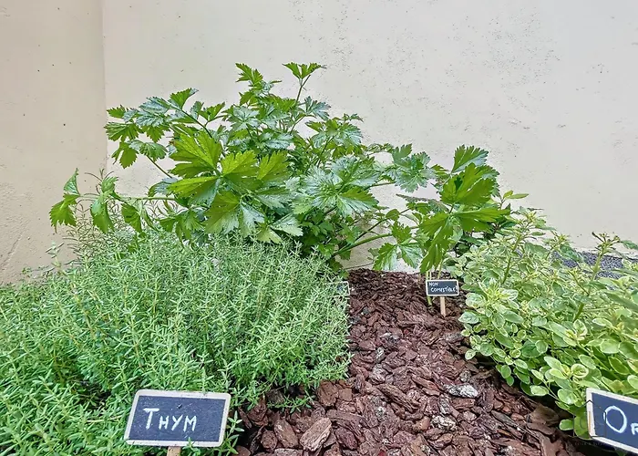 Daire L'oustal Amans Rodat Rodez