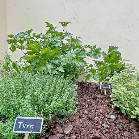 Διαμέρισμα L'oustal Amans Rodat Ροντέζ